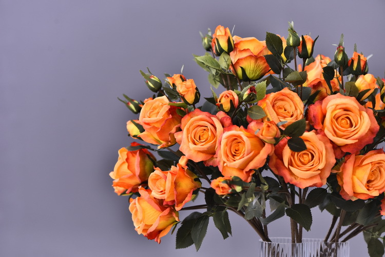 Factory wholesale of 5-head simulated rose with charred edges, retro Greek rose, living room, hotel and homestay photography props rose pic 25