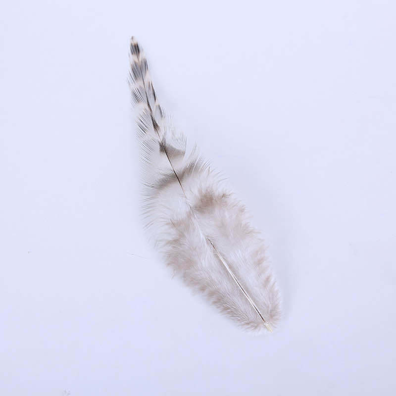 The manufacturer supplies green reed flower chicken feather handmade diy accessories, dreamcatchers, clothing feather accessories, and reed flower pointed-neck feathers pic 22