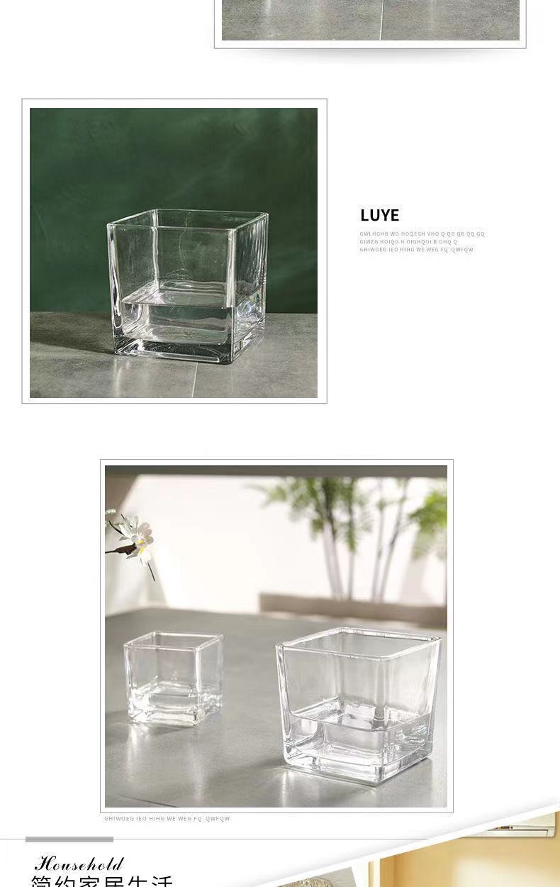Glass square VAT, square glass flowerpot, hydroponic container, transparent multi-purpose square VAT, green vine plant, multi-functional hydroponic vase, fish tank pic 8