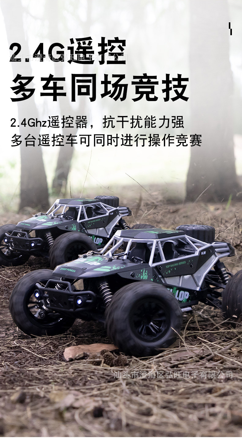 跨境1：16遥控高速车 越野车四驱大脚攀爬车男孩玩具遥控车RC批发详情14