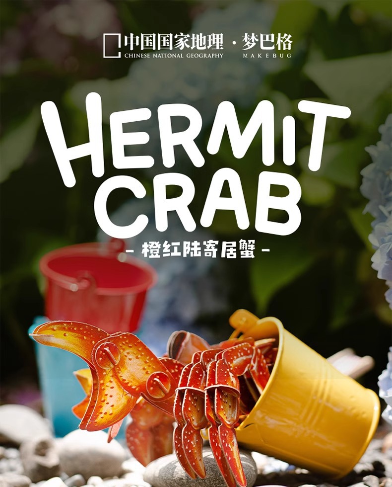 梦巴格3D立体纸拼图益智模型手工拼插装玩具自然科普橙红陆寄居蟹中国地理拼图详情1