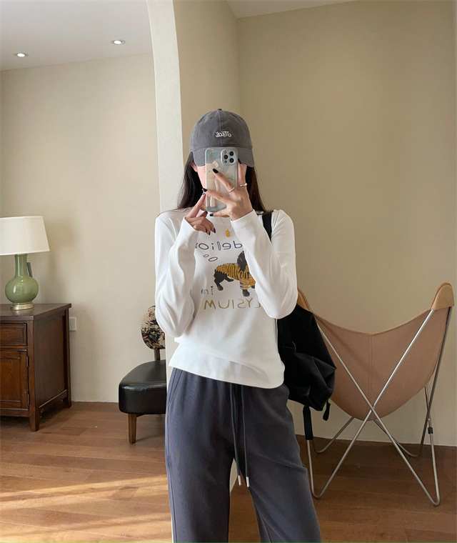Playful and youthful embroidered printed puppy loose straight top straight-shoulder round-neck long-sleeved T-shirt for women 2025 early Spring G021418 pic 14