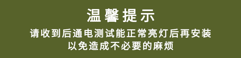 户外防水LED彩灯闪灯串灯满天星七彩氛围灯卧室装饰树灯瀑布灯带详情13