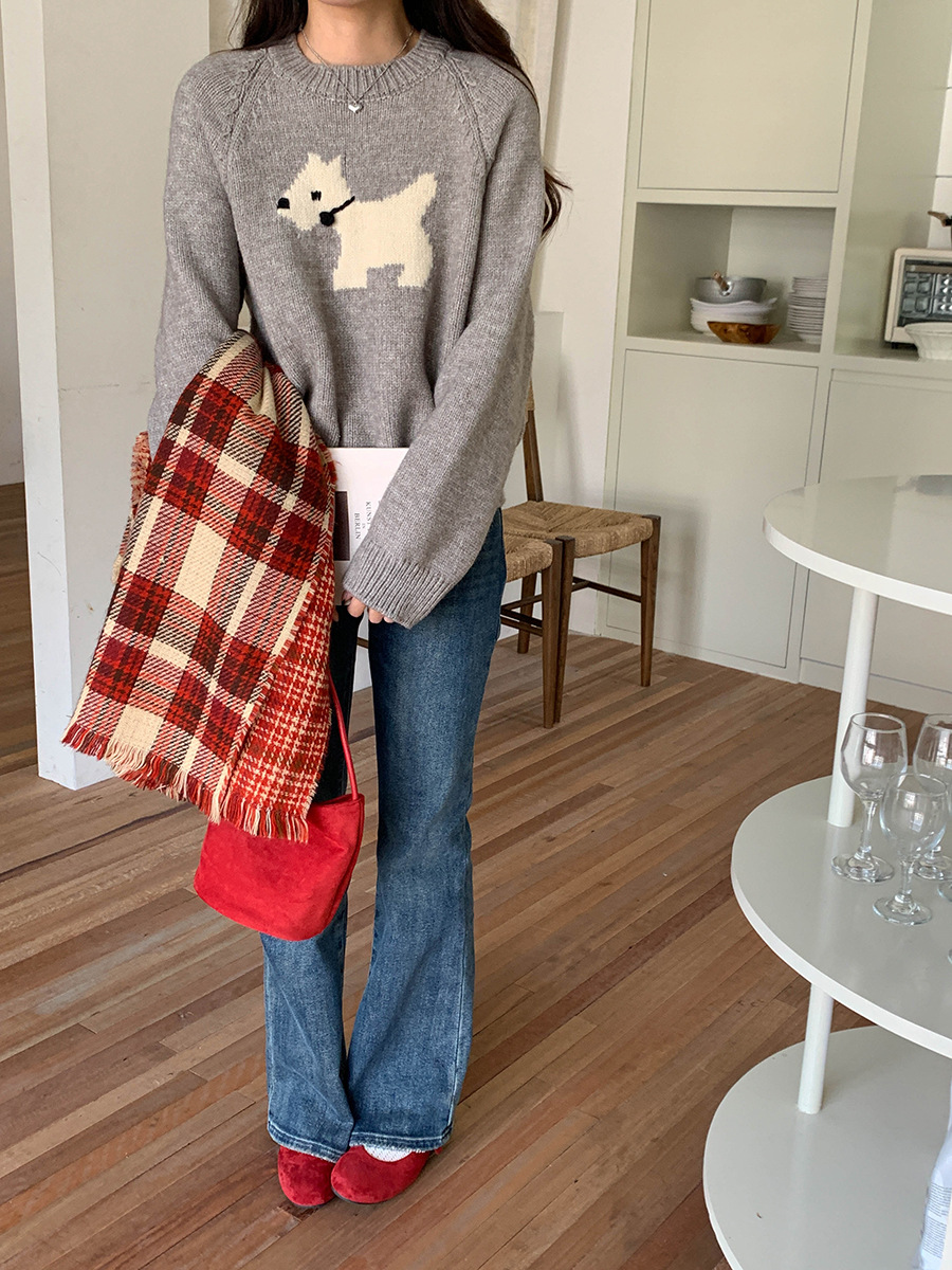 3th Morning North Island Park Korean Style Youthful Dog Embroidered Round Neck Pullover Sweater ZY2381 pic 43