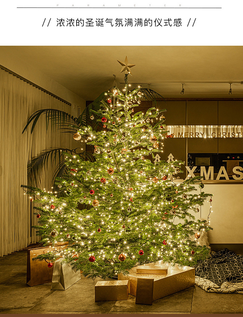 Remote-controlled Christmas tree, green wire LED copper wire light, star color light, string light, starry sky, courtyard green plant, rattan flower wreath light pic 21