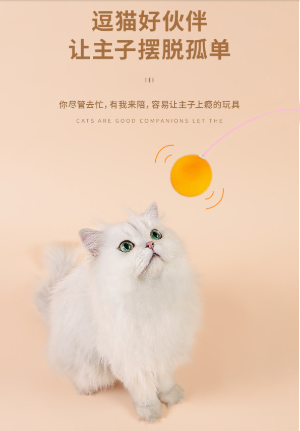 Cat suction cups, cat toys, self-entertaining and boring gadgets for kittens, steel wire elastic and resistant to biting, table tennis toys, cat supplies pic 5