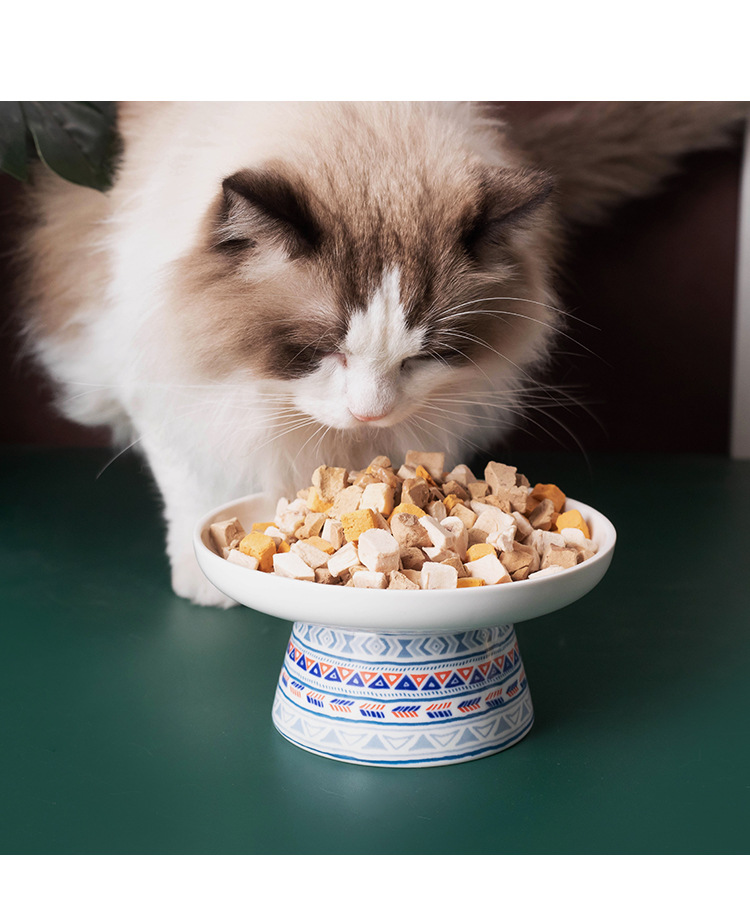 亚马逊陶瓷猫碗高脚护颈椎猫粮碗猫盆饮水碗宠物零食碗波西米亚风详情13