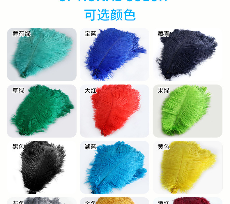 厂家现货鸵鸟毛30-35cm彩色羽毛婚礼装饰插花舞台服装婚庆指引详情19