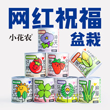 3d儿童立体百变无限熊猫魔方爆款礼品批发益智玩具2-3岁-4-5岁-6详情3