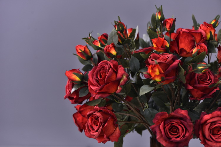 5 pieces of retro charred edge rose artificial flower decoration, artificial flower imitation dried flower, home soft decoration withered and dry, wedding Lanjin artificial rose wholesale pic 8