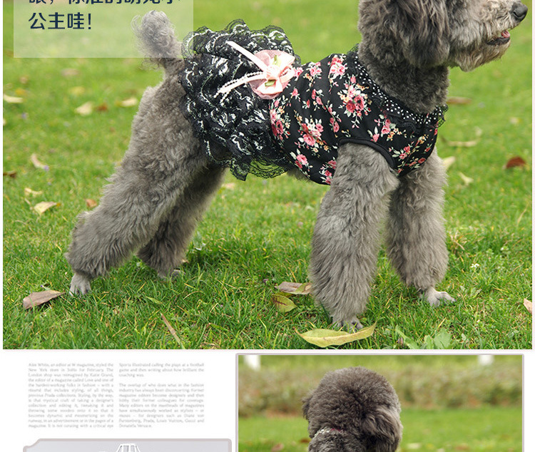 Summer new cool and cute dog dress, fashionable lace small floral cat dress pic 5