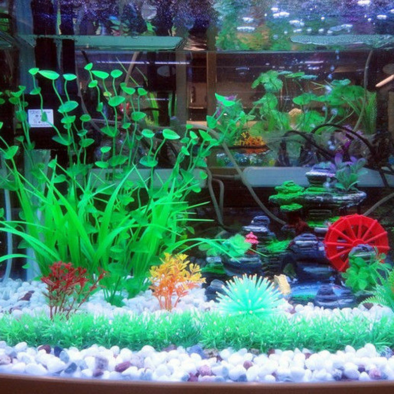 Wholesale supplier of aquarium filter and fish tank filtration equipment RS-1000F pic 24