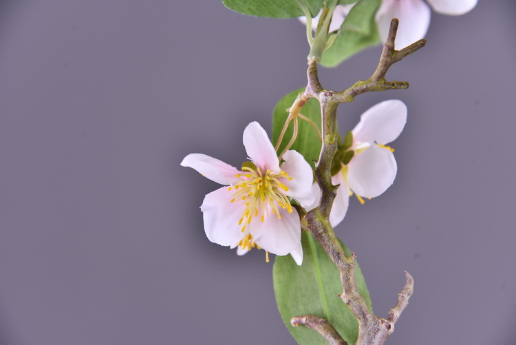 Wholesale of artificial flowers from the original factory, including artificial pear blossoms, cherry blossoms, duckweed flowers, model rooms, living rooms and hotel decorations pic 20