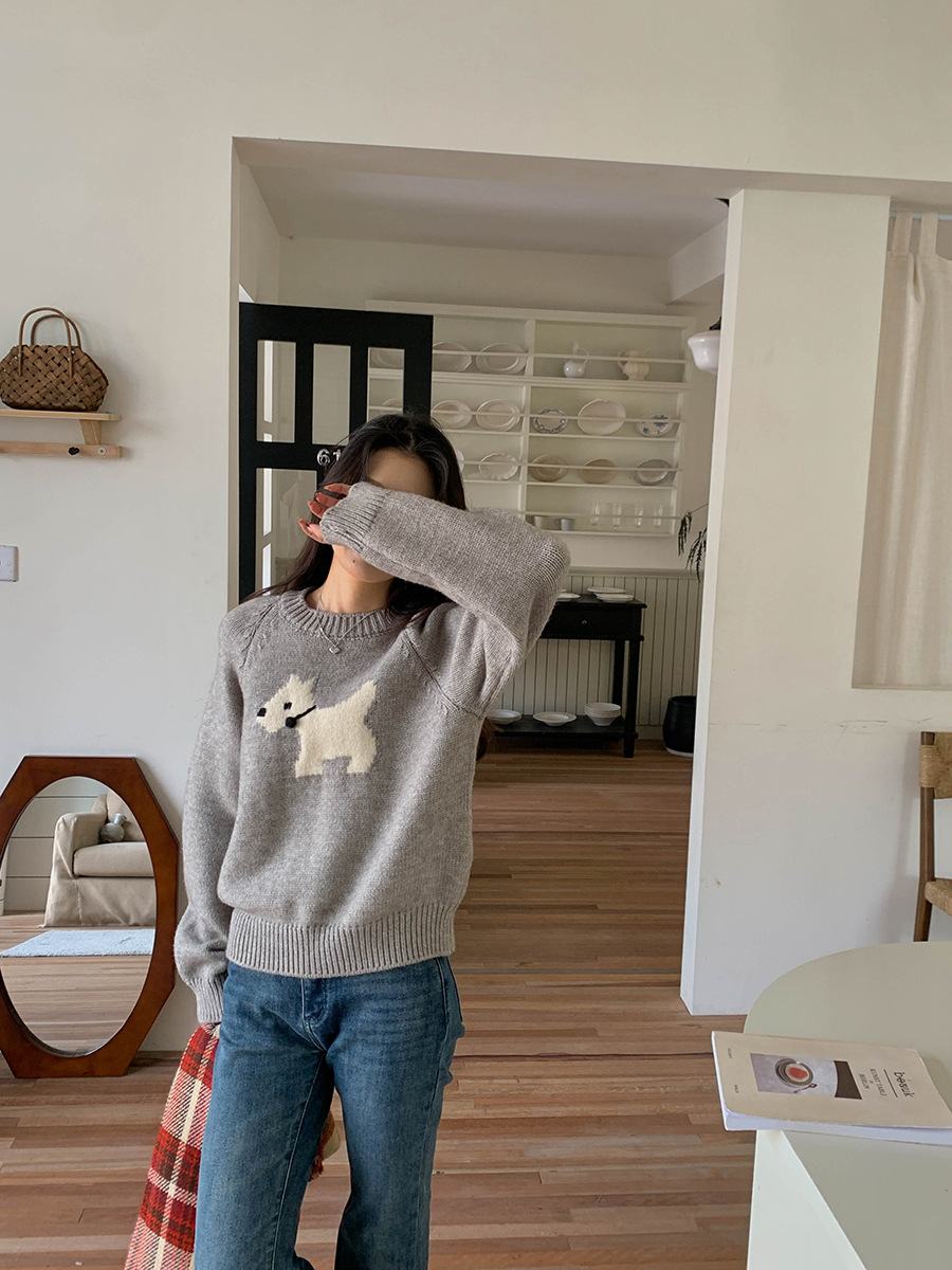 3th Morning North Island Park Korean Style Youthful Dog Embroidered Round Neck Pullover Sweater ZY2381 pic 46