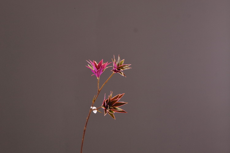 Dongli Factory direct sales, wholesale of artificial flowers, purple mist grass, purple dew grass, home decoration, artificial living room model rooms, artificial flower ornaments, one-piece consignment pic 20