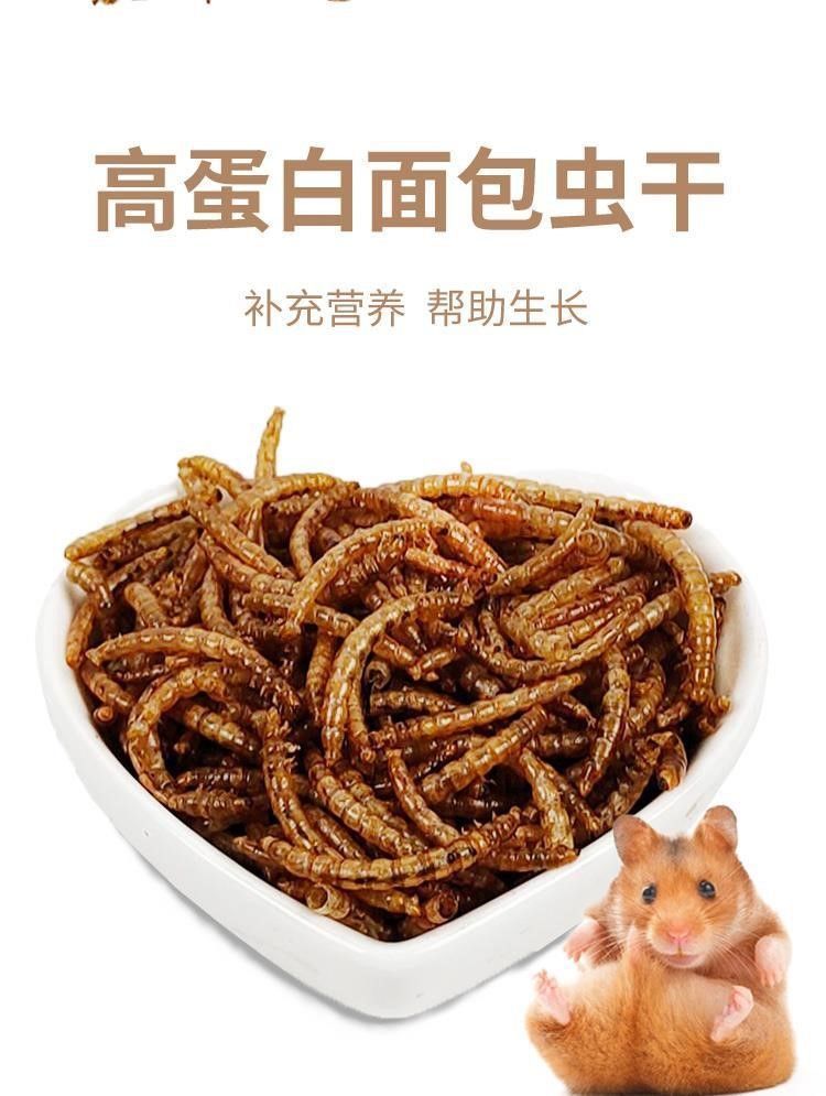 宠物零食面包虫干仓鼠刺猬粮食小龟粮用品主粮鸟零食厂家直销批发详情4