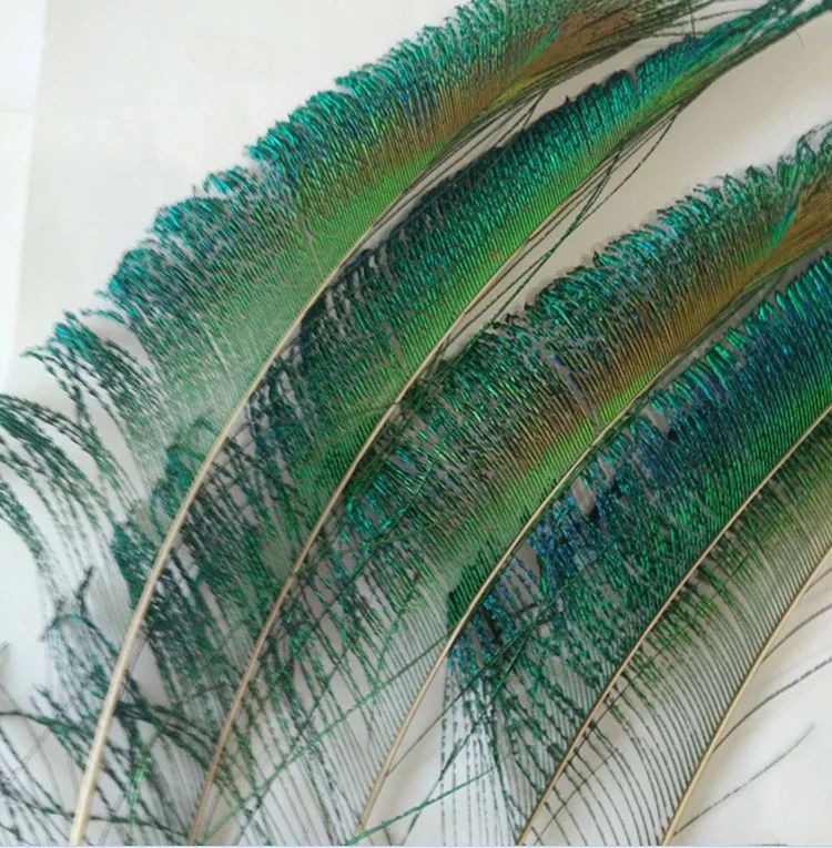 Wholesale of peacock feathers, natural peacock feathers, single-sided feathers, DIY handicrafts, materials, decorative ornaments pic 5