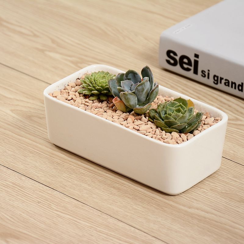 Best-selling succulent plant ceramic flowerpots, simple succulent flowerpots, creative rectangular POTS, white porcelain flowerpots pic 2