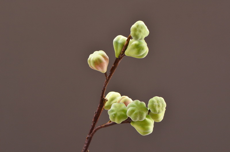 Wholesale of original factory flocking artificial figs, ins popular flower arrangements, artificial berries, entrance hall and hotel decoration pic 4