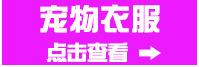 厂家批发 七彩宠物牵引绳1.0cm 狗狗牵引绳胸背带 猫牵引带狗用品详情9