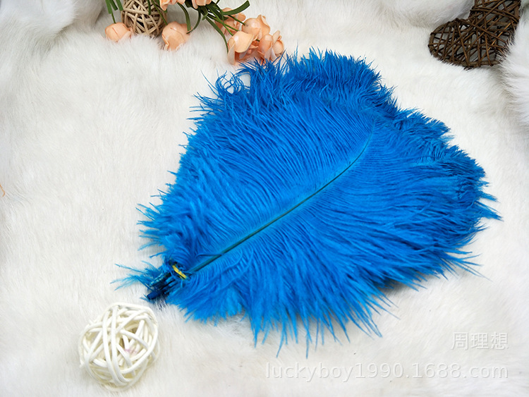 Colorful ostrich feathers 15-20cm, mask feathers, DIY accessories, wedding decoration props, ear-picking accessories, colorful feathers pic 39
