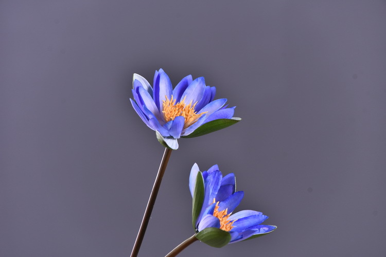 Wholesale manufacturer of artificial water lilies, direct sales of artificial flowers for wedding, home, hotel and homestay soft furnishings, artificial flowers, and photography props pic 5