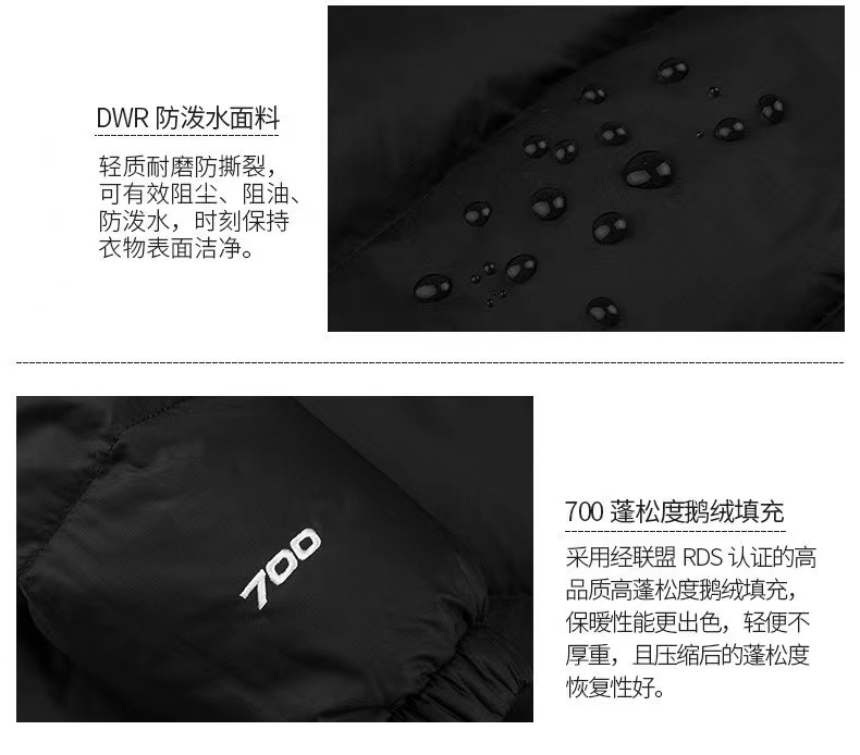 现货北脸面TNF1996羽绒服350克90绒芯片美版700刺绣男女款外套潮详情6