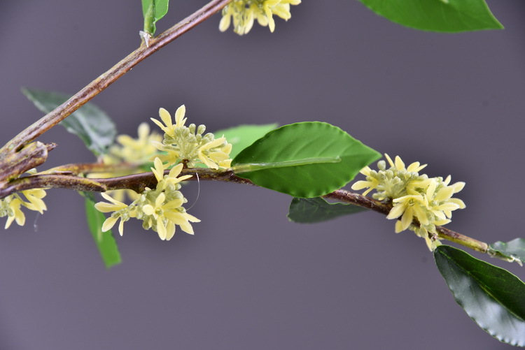 Wholesale artificial yellow osmanthus and laurel, green landscape garden artificial trees, decorative golden osmanthus leaves, home, hotel and homestay artificial flowers pic 34