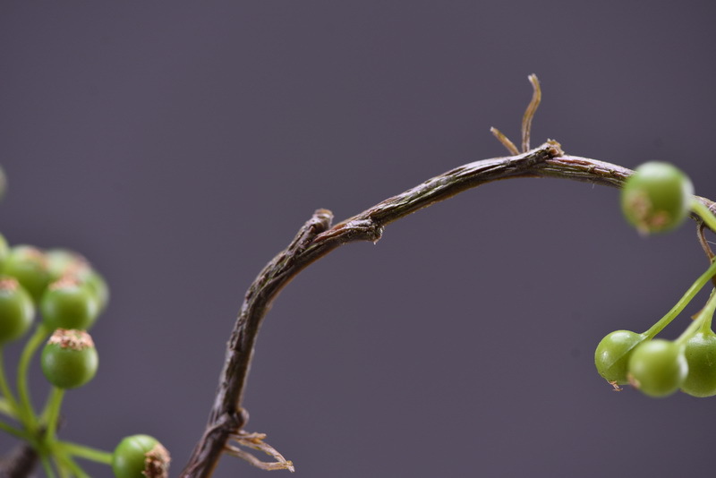 Lanjin Artificial Fruit Factory Direct Sales, wholesale of artificial berries, artificial green vine fruits, Chinese modern and simple decoration, winter green fruits, and mountain prosperity fruits pic 19