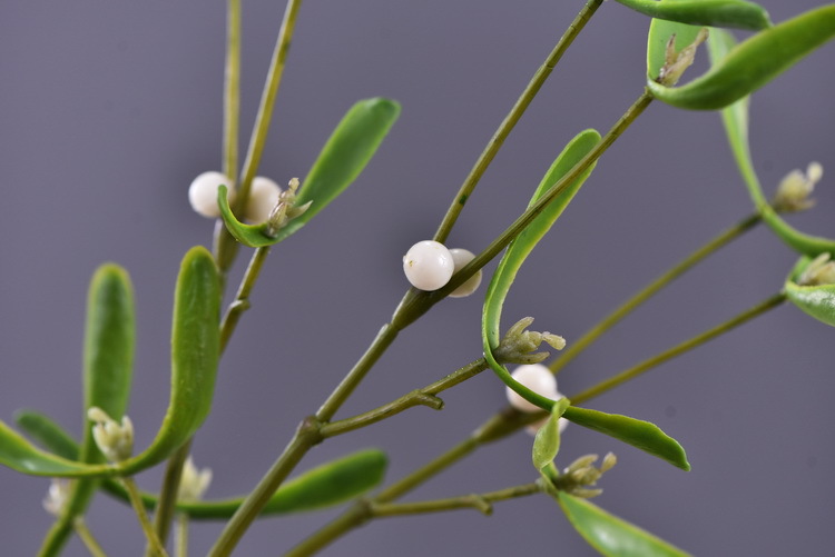 Factory direct sales of artificial mistletoe, wholesale of artificial plants, flower arrangement materials, window display, soft furnishings, pearl fruit and green plants pic 7