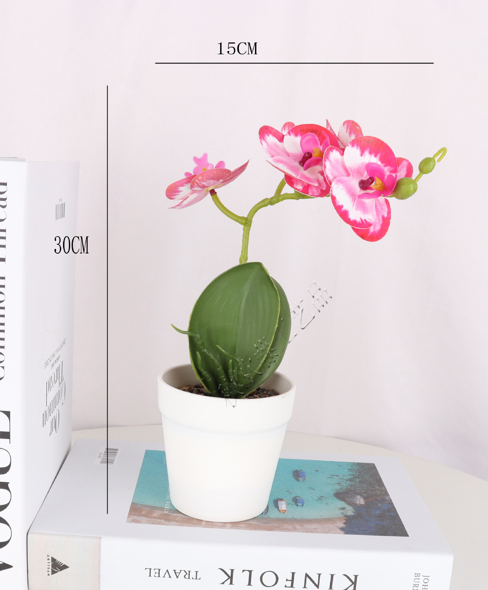 仿真3D蝴蝶兰5头盆栽/仿真盆景/仿真花创意内室小摆件/亚马逊厂直详情2