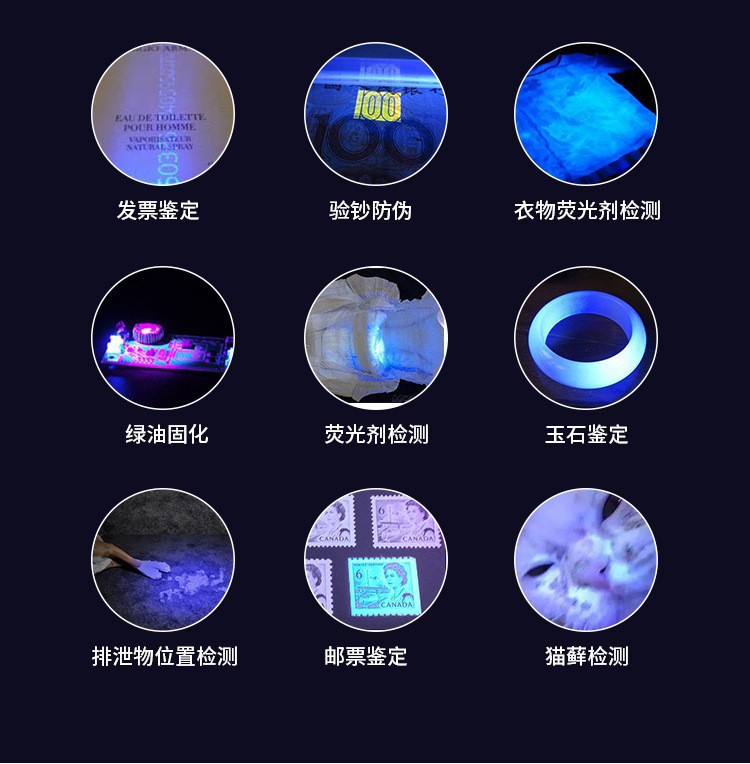 Purple light flashlight pic 2