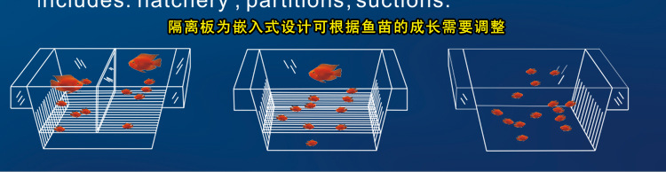 BOYU Boyu Guppy isolation box, Brine Shrimp Incubator, Incubation Box, Fish Tank isolation Box, Breeding Box FH101 pic 5
