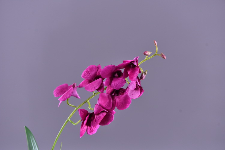 Factory direct sales of high-end artificial dendrobium, wholesale of artificial flowers with leaves, home decoration of Phalaenopsis and Lanjin artificial plants pic 27
