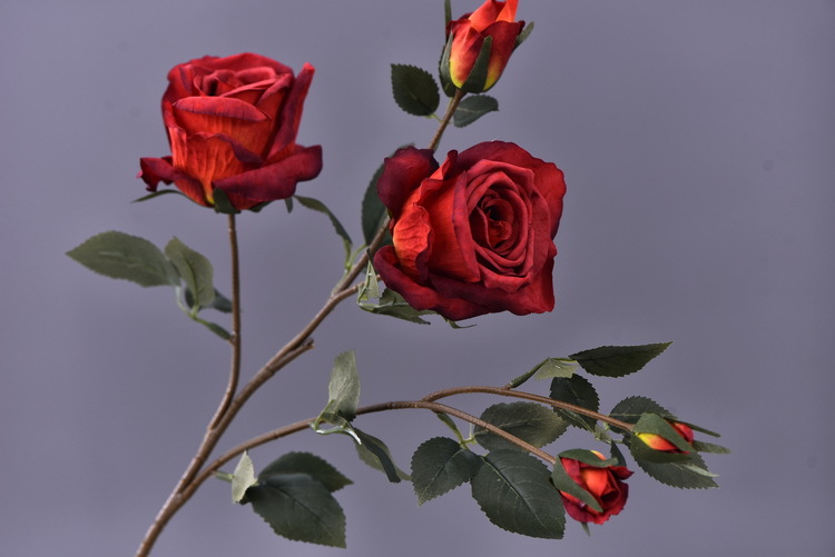 5 pieces of retro charred edge rose artificial flower decoration, artificial flower imitation dried flower, home soft decoration withered and dry, wedding Lanjin artificial rose wholesale pic 14