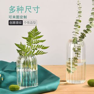 高硼硅直筒玻璃花瓶绿萝小鱼缸插花器水培景观花盆花瓶玻璃摆件详情5