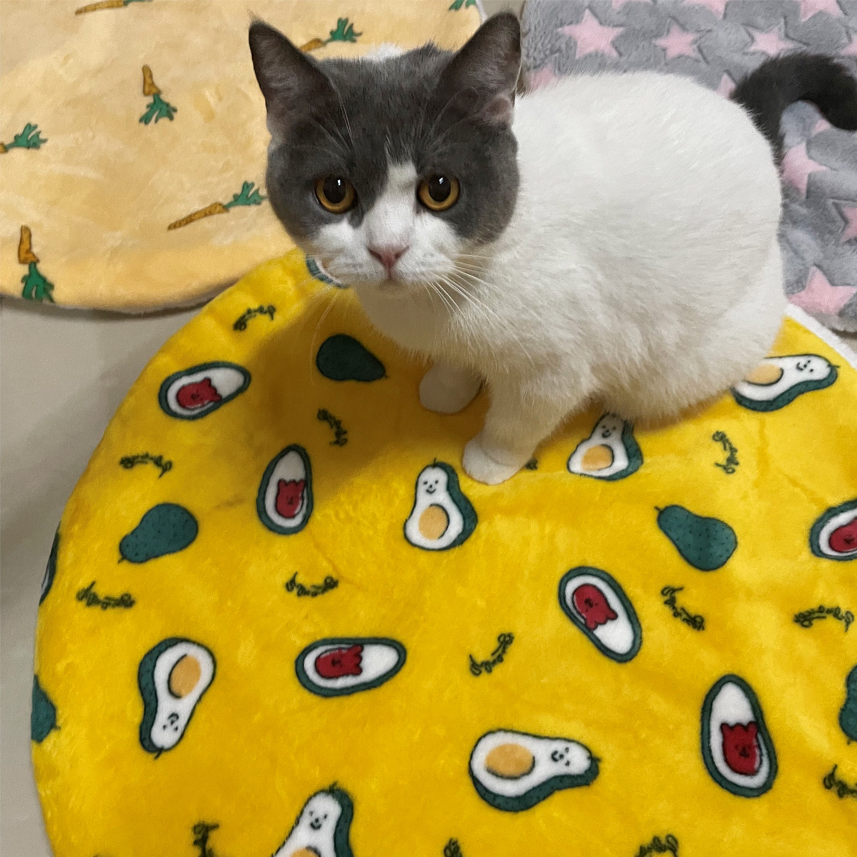 Круглый кошачий коврик, кошачий питомник pic 6