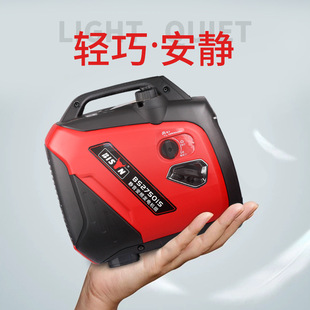 Bison小型汽油发电机组3kw手启动220v单相家用便携式发电机户外详情1