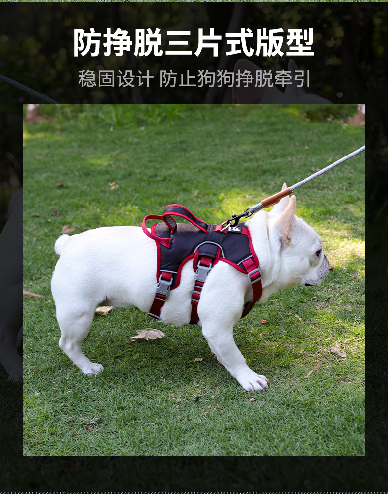 狗狗牵引绳中小型犬宠物胸背带反光防护减震狗狗胸背宠物牵引绳详情6
