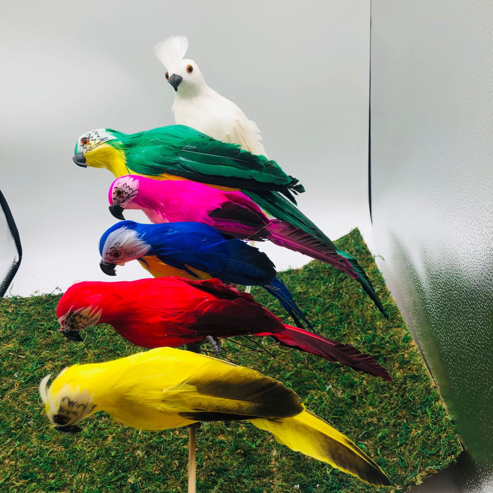 源头工厂供应仿真鹦鹉金刚鹦鹉仿真小鸟鸟蛋羽毛鹦鹉田园装饰鹦鹉详情7