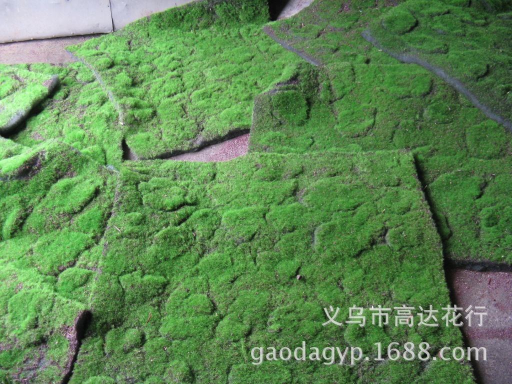 Artificial plant wall, moss skin, plant wall, grass decoration, indoor window display decoration, DIY trendy decoration, lawn pic 27