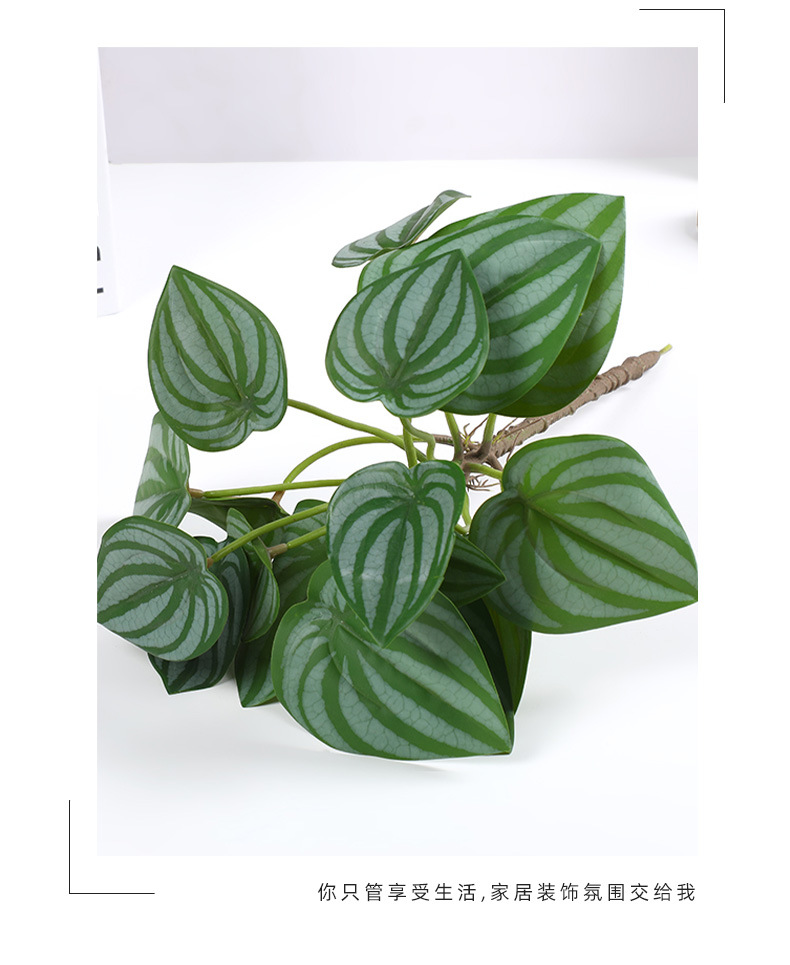 仿真植物墙绿化景观草塑料环保逼真假花绿植配件道具装饰厂家批发详情12