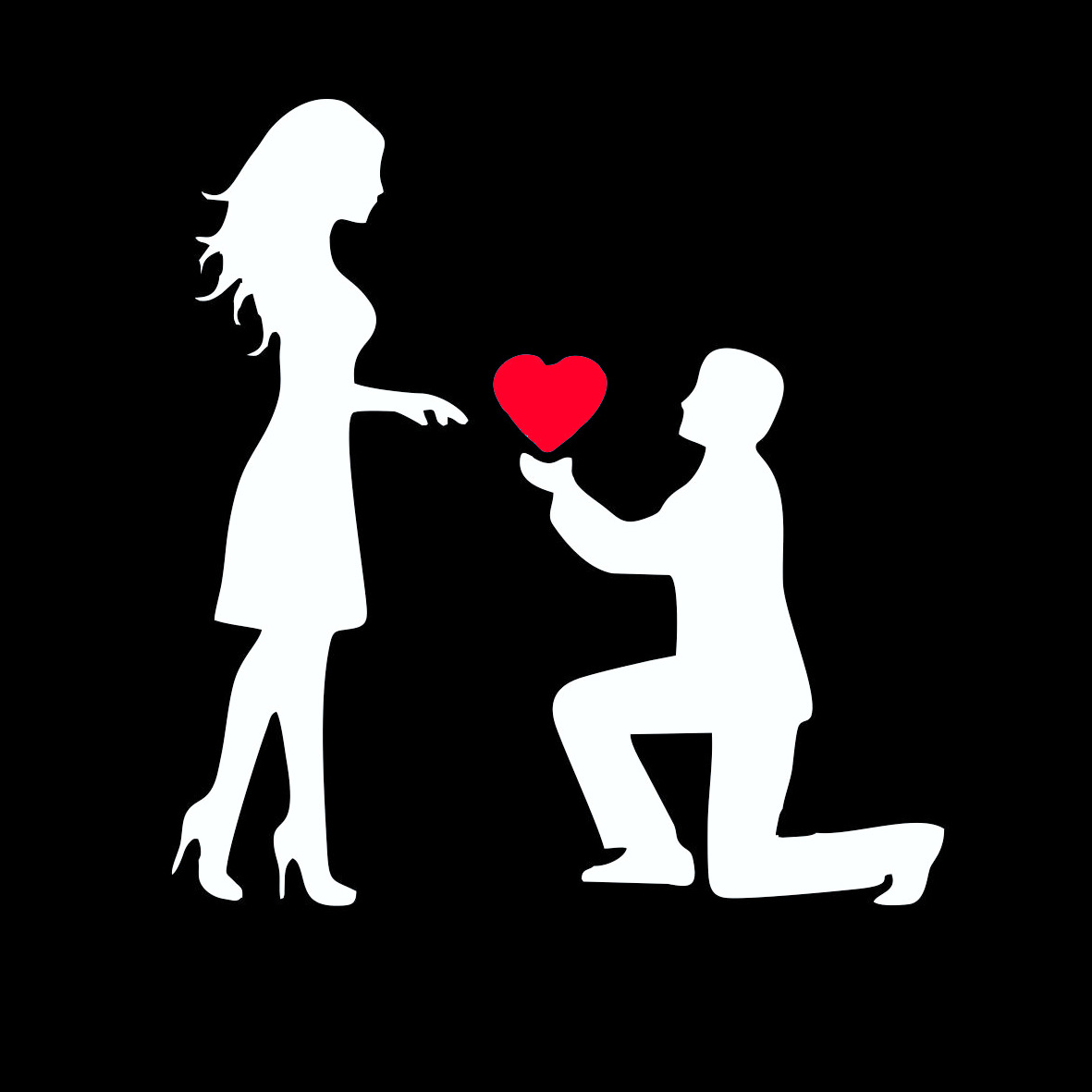 Love proposal car sticker pic 4