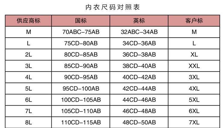 跨境外贸厂家批发前开扣大码无钢圈文胸大胸显小舒适透气女士内衣详情2