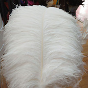 The feather fan is a special prop for the dance performance of the ostrich-colored feather fan used by the palace film crew pic 12