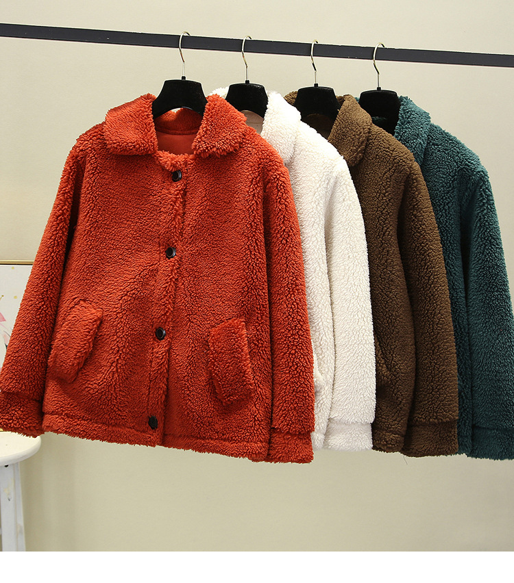 A new autumn and winter casual lambskin plush fur coat for women, a short Korean-style granular fleece warm top pic 1