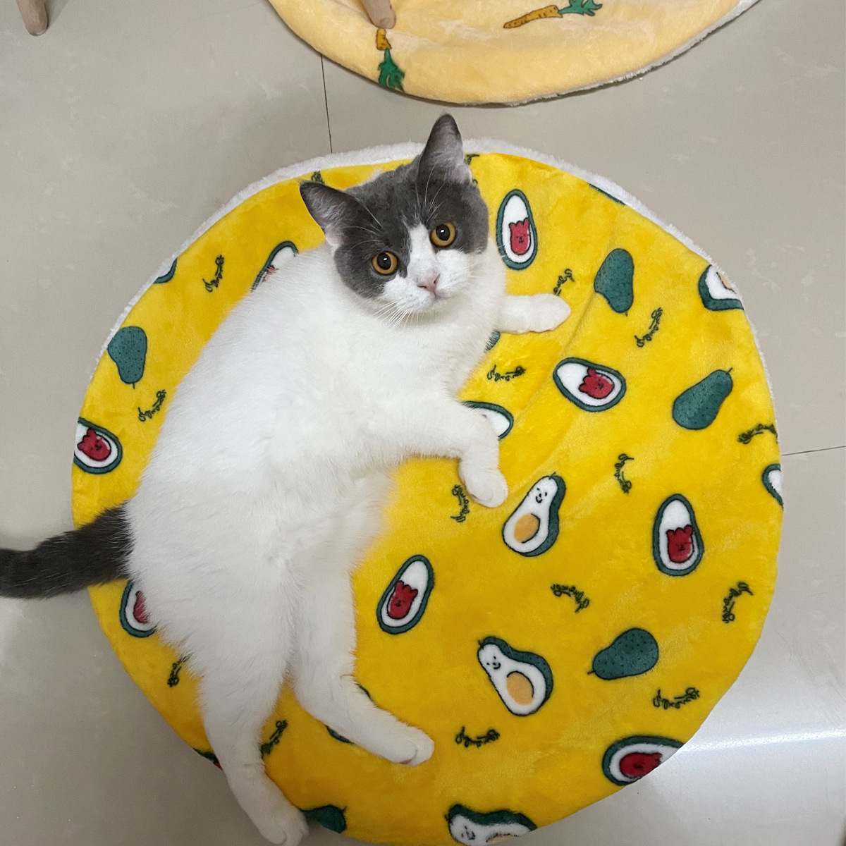 Круглый кошачий коврик, кошачий питомник pic 5