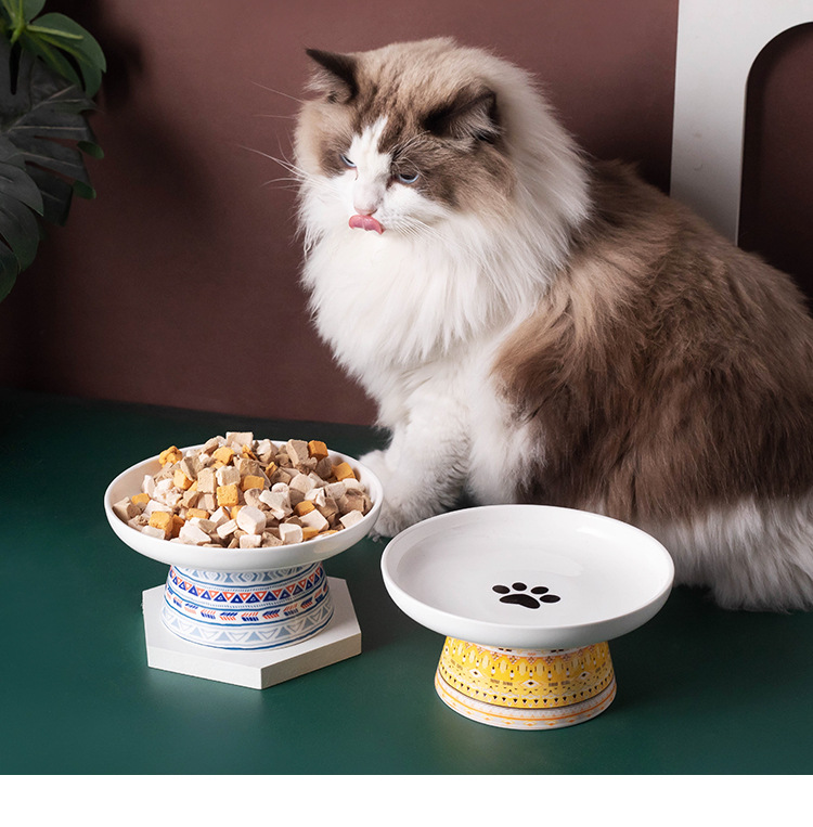 亚马逊陶瓷猫碗高脚护颈椎猫粮碗猫盆饮水碗宠物零食碗波西米亚风详情4