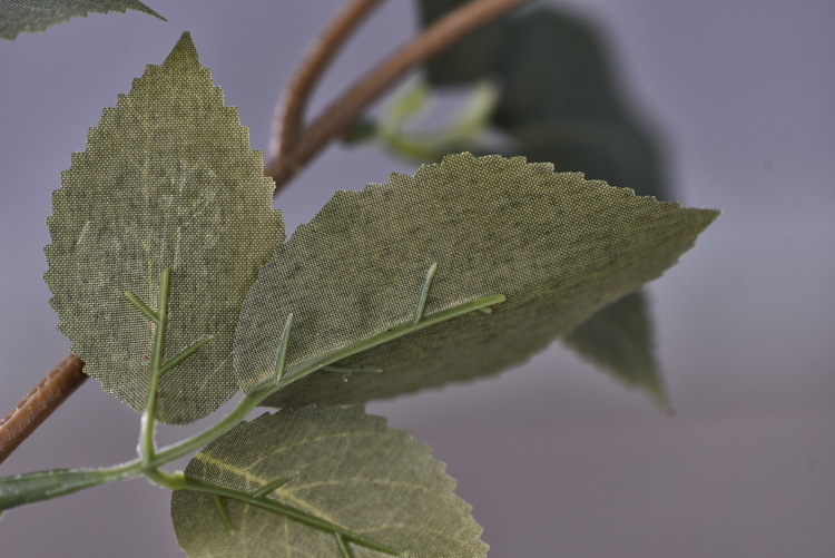 Factory wholesale of 5-head simulated rose with charred edges, retro Greek rose, living room, hotel and homestay photography props rose pic 52