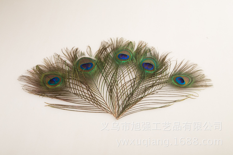 现货批发25-130cm孔雀羽毛 天然大眼睛孔雀毛diy手工饰品头饰装饰详情15